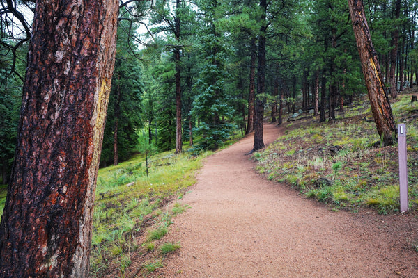 trail